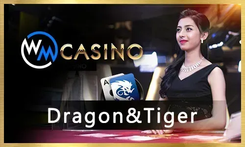Live Casino Thrills